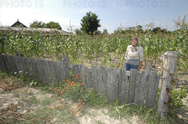 ROMANIA, Tulcea, Danube Delta Biosphere Reserve, Elderly female farmer standing in corn field behind wooden fence