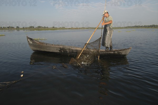 ROMANIA, Tulcea, Danube Delta Biosphere Reserve, Professional fisherman in canoe on Lake Isac checking his nets