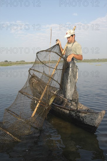 ROMANIA, Tulcea, Danube Delta Biosphere Reserve, Professional fisherman in canoe on Lake Isac checking his nets