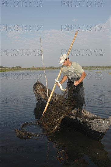 ROMANIA, Tulcea, Danube Delta Biosphere Reserve, Professional fisherman in canoe on Lake Isac checking his nets