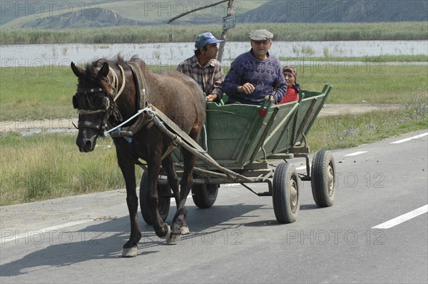ROMANIA, Northern Dobtuja, Harsova, Traditional horse drawn cart carring people along the road