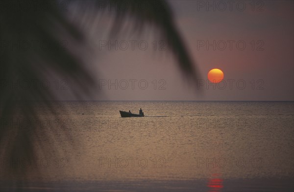 HONDURAS, Bay Islands, Roatan, Sunset seen from the beach with passing boat in silhouette and overhanging palms