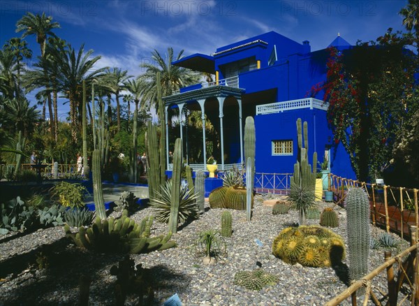 MOROCCO, Marrakech, Jardin Majorelle. Colbolt blue building surrounded by a garden of palm trees and cactus plants.