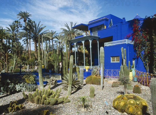 MOROCCO, Marrakech, Jardin Majorelle. Colbolt blue building surrounded by a garden of palm trees and cactus plants.