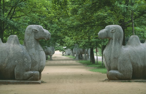 CHINA, Jiangsu, Zinjinshan, Pair of camels in avenue of animal statues at the Ming Tomb of Hong Wu situated east of the former ancient capital of Nanjing.