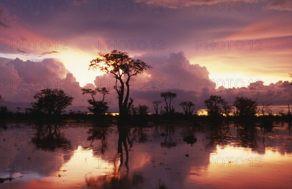 NAMIBIA, Etosha National Park, Ghost forest trees silhouetted against dramatic pink sky after summer storm reflected in lake.