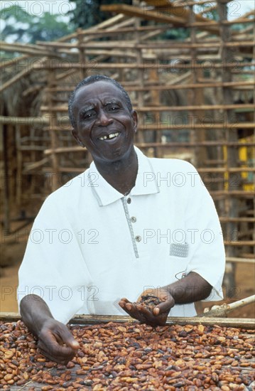 GHANA, Farming, Worker drying cocoa beans in the sun