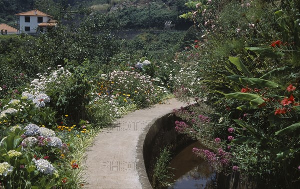 PORTUGAL, Madiera, Levada dos Tornos in the gardens near the Hortensia Teahouse