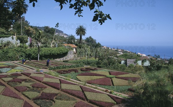 PORTUGAL, Madiera, Jardim Botanico botanical gardens near Funchal