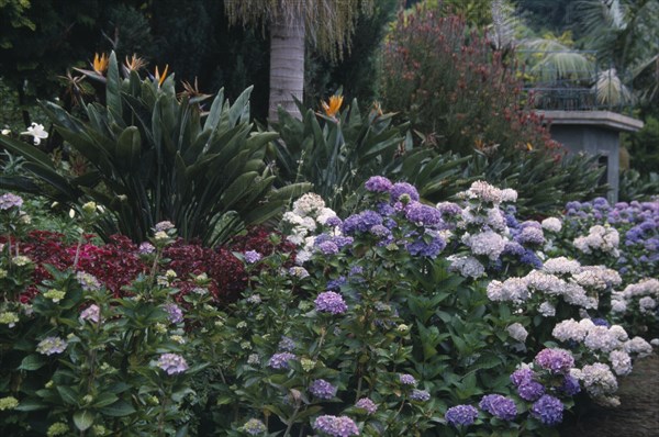 PORTUGAL, Madiera, Monte Palace Tropical Gardens