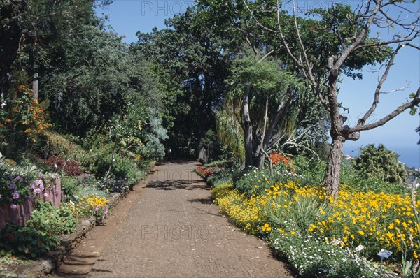 PORTUGAL, Madiera, Jardim Bontanico botanical gardens near Funchal
