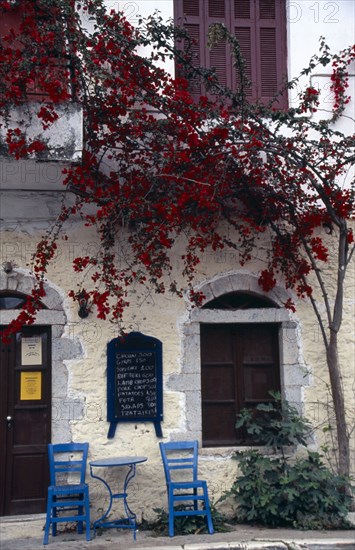 GREECE, Peloponnese, Mani Peninsula, Kardamili. Taverna exterior with blue table and chairs on pavement and red flowering tree growing against the building.