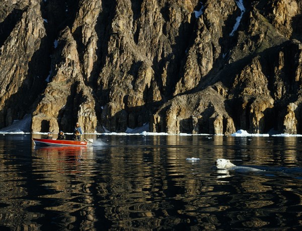 CANADA, Baffin Island, Inuit men in a boat watch a polar bear swimming by the rocky coastline