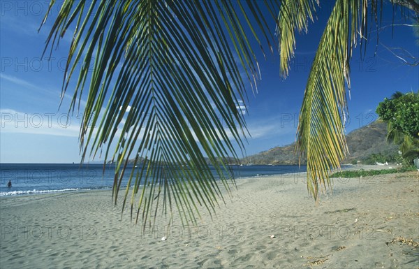 COSTA RICA, Guanacaste Province, Playa Hermosa, Sandy resort beach partly framed by palm fronds.