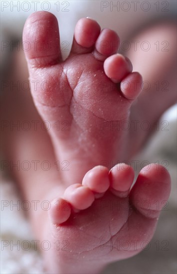 CHILDREN, Babies, Close up of the feet of a new born baby.