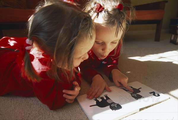 CHILDREN, Reading, Two toddlers sat on the floor in a sunlit room looking at a book.