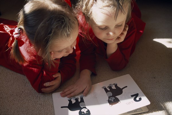 EDUCATION, Children, Reading, Two toddlers lying on the floor in a sunlit room looking at a book with pictures of cats.