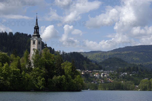 SLOVENIA, Lake Bled, View over the lake toward Bled Island with the tower of the Church of the Assumption visible above the trees