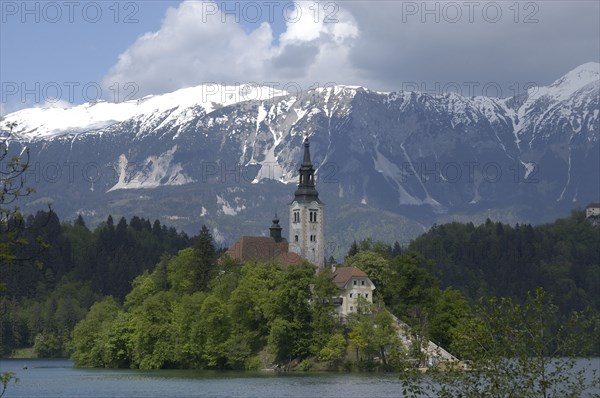 SLOVENIA, Lake Bled, View over the lake toward Bled Island and the Church of the Assumption with the snow capped peaks of the Julian Alps behind
