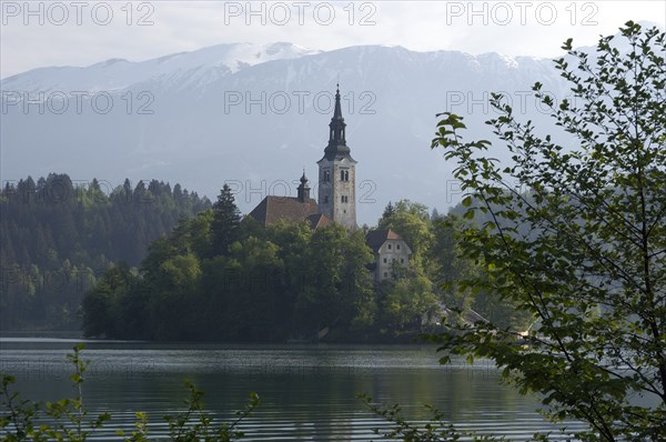SLOVENIA, Lake Bled, View over the lake toward Bled Island and tower of the Church of the Assumption