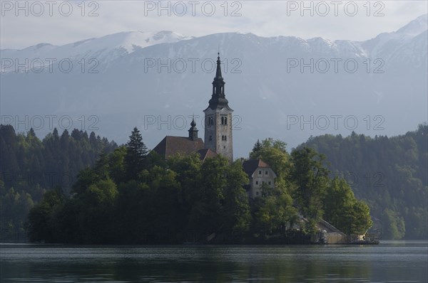 SLOVENIA, Lake Bled, View over the lake toward Bled Island and tower of the Church of the Assumption
