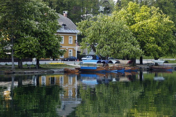 SLOVENIA, Lake Bled, Mlina. Gondolas moored at the lakeside