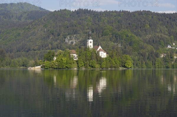 SLOVENIA, Lake Bled, Bled Island and tower of the Church of the Assumption