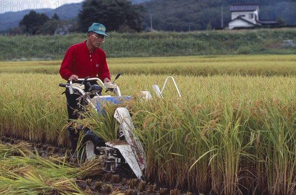 JAPAN, Honshu, Densho en, Male farm worker harvesting rice fields with a hand held machine