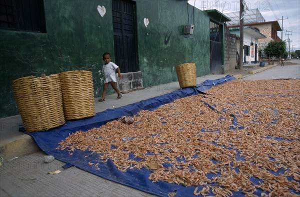 MEXICO, Oaxaca, Juchitan, Shrimps spread out to dry on blue canvas in the street with small boy walking past on the pavement.