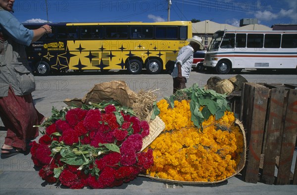 MEXICO, Oaxaca, Street scene with large bundles of brightly coloured flowers for Day of the Dead on pavement in the foreground.