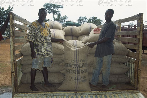 GHANA, West, Farming, Loading sacks of cocoa beans onto truck to be taken to depot.