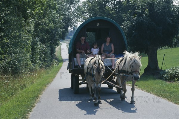 DENMARK, Funen Island, Danish family on holiday in caravan drawn by pair of Norwegian Fjord ponies.