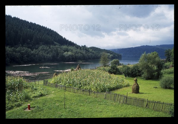 ROMANIA, Carpathian Mountains, Tree covered lower slopes with Lake Bicaz in the foreground.