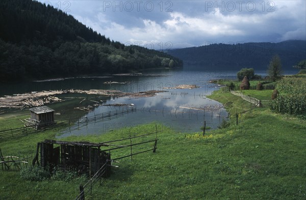 ROMANIA, Carpathian Mountains, Tree covered lower slopes with cut timber floating on Lake Bicaz in the foreground.