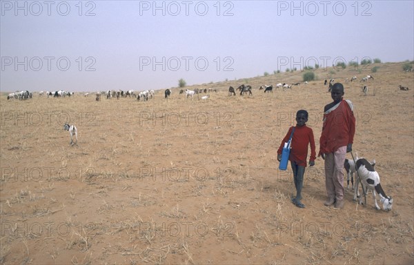 BURKINA FASO, Sahel, Shepherd boys with flock grazing on sparse vegetation.