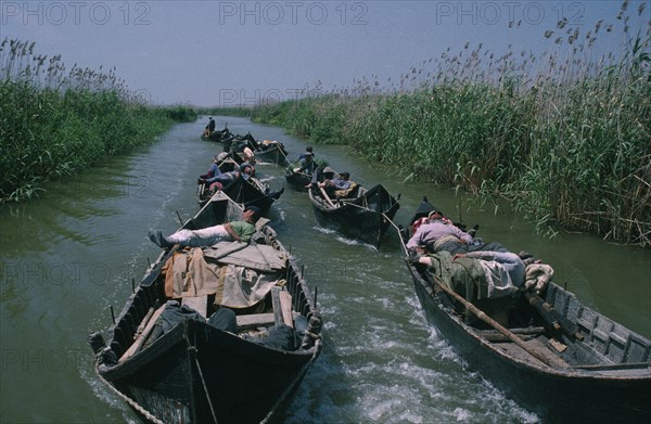 ROMANIA, Danube Delta, Sturgeon fishermen in shallow wooden boats linked to each other by rope returning to Black Sea.
