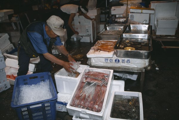 JAPAN, Honshu, Tokyo, Tsukiji fish market.  Man packing squid or octopus in ice.