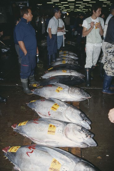 JAPAN, Honshu, Tokyo, Tsukiji Market.  Tuna fish for sale and buyers.