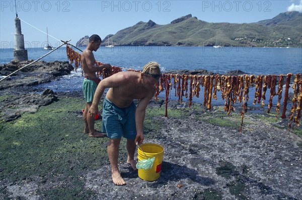 PACIFIC ISLANDS, Polynesia, French Polynesia, "Marquesas, Nuku Hiva.  Men air drying beef in coastal area. "