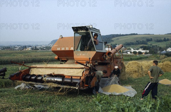 UKRAINE, Ivano Frankivsk, Agricultural workers collecting grain from combine harvester in plastic sheet.