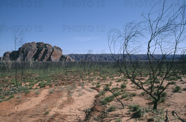 AUSTRALIA, Western Australia, The Kimberley, Purnululu or Bungle Bungle National Park.  Rocky outcrop in scorched terrain.