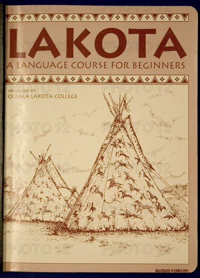 USA, Minnesota, Minneapolis, American Indian Lakota language course for beginners found in the Central Library Marquette