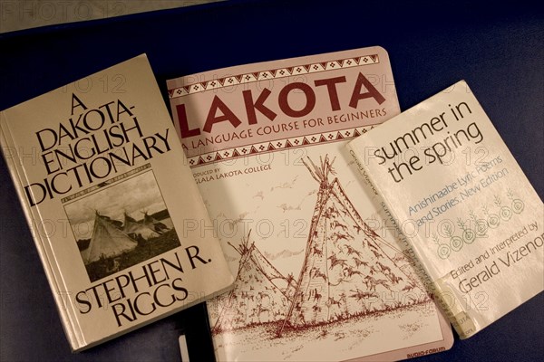 USA, Minnesota, Minneapolis, "Dakota-English Dictionary, Lakota language course for beginners and Summer in the Spring by Gerald Vizenor found in the Central Library Marquette"