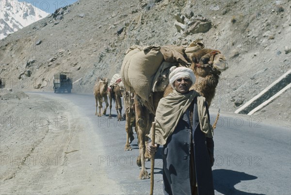 AFGHANISTAN, Transport, Man leading camel train along road with truck travelling in opposite direction.