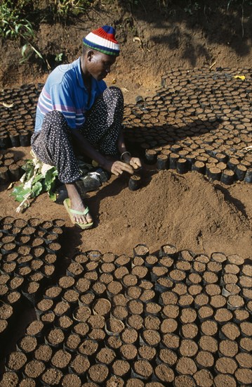 TANZANIA, West, Ngara, Reforestation project.  Refugee working in a plant nursery.