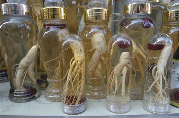 KOREA, Seoul, Namdeaemun Market in December. Whole ginseng root on display in glass bottles