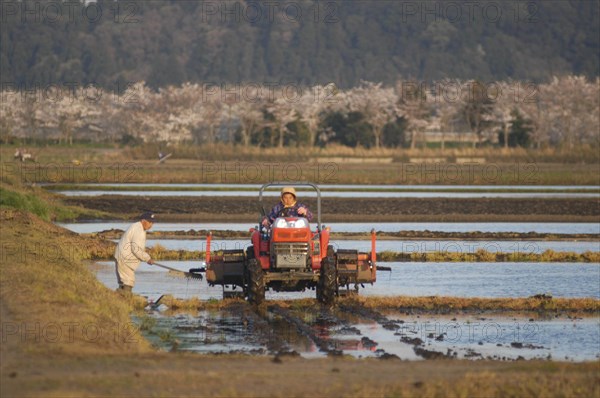 JAPAN, Chiba, Tako, "Mr and Mrs Katsumata, both over 70 years old, she drives tractor, preparing rice fields in spring"