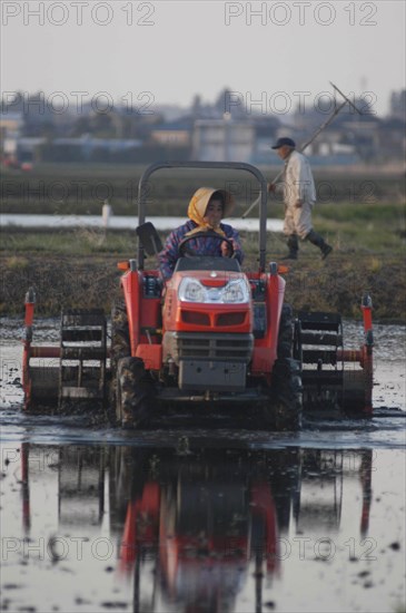 JAPAN, Chiba, Tako, "Mr. and Mrs. Katsumata, both over 70 years old, prepare rice field in spring, Mrs. Katsumata drives tractor"