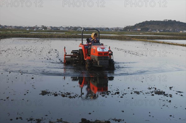 JAPAN, Chiba, Tako, "Mrs. Katsumata, over 70 years old, drives tractor preparing rice field in spring MR"
