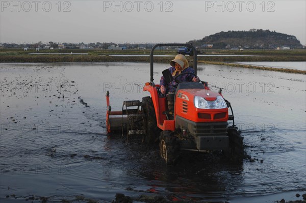 JAPAN, Chiba, Tako, "Mrs. Katsumata, over 70 years old, drives tractor preparing rice field in spring"